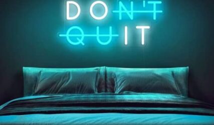 417wGXIQLLL._AC_UF1000,1000_QL80_